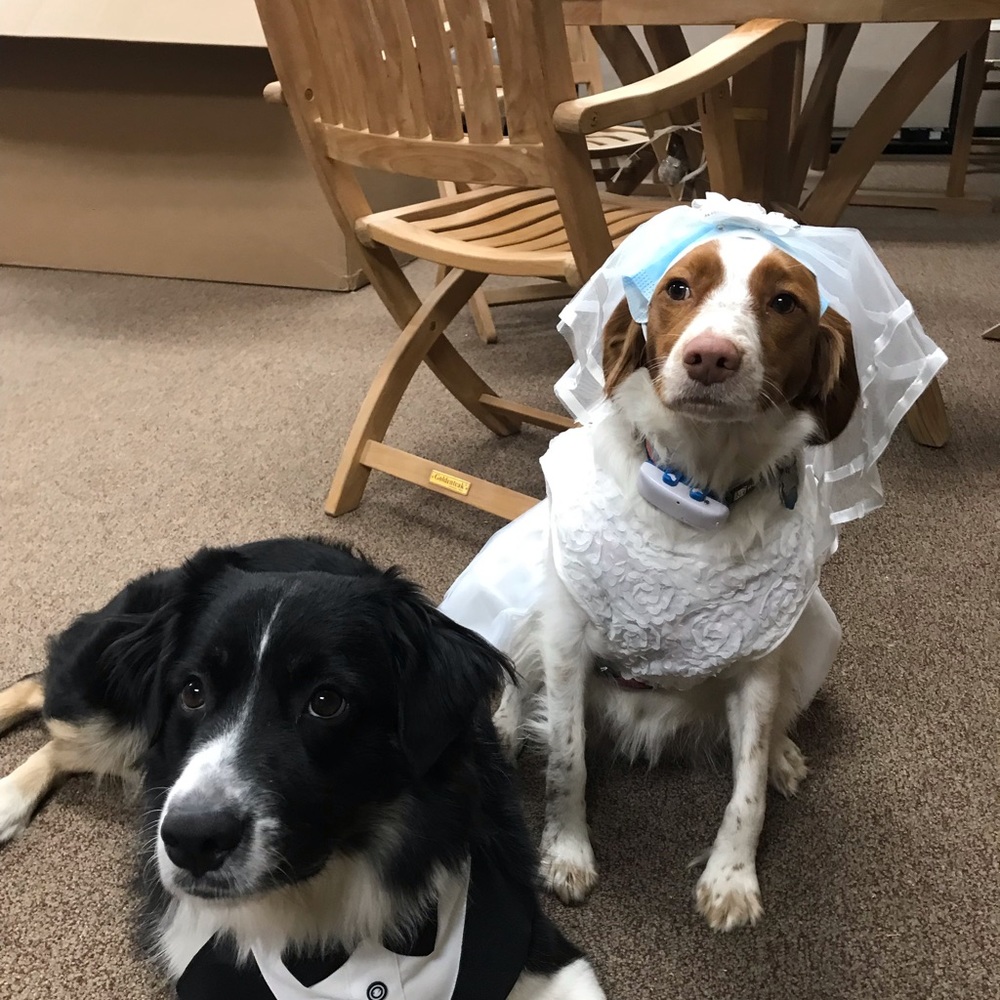 Meet your Posher, Elle